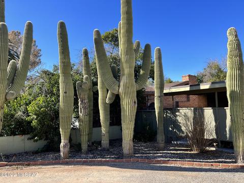 3545 E Hampton St, Tucson, AZ 85716 photo 12