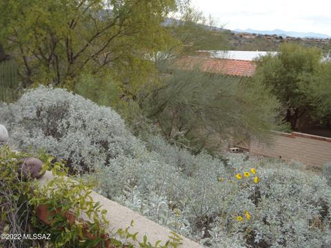 4875 N Territory Loop, Tucson, AZ 85750 photo 27