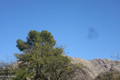 17 E Mediterranean Dr, Tucson, AZ 85704 photo 4