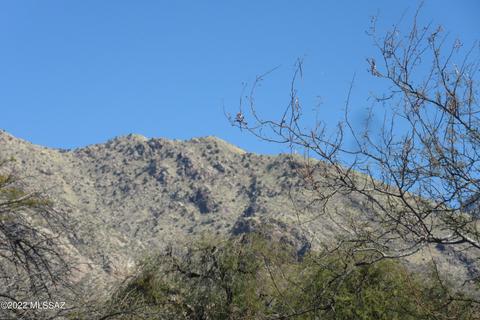 17 E Mediterranean Dr, Tucson, AZ 85704 photo 3