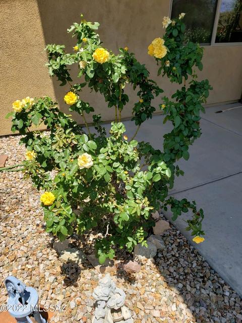 14049 E Hay Bale Trl, Vail, AZ 85641 photo 48