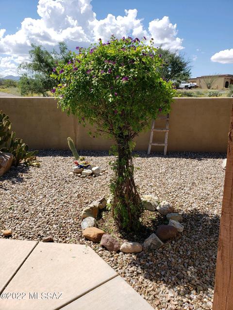 14049 E Hay Bale Trl, Vail, AZ 85641 photo 50