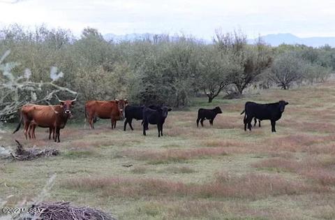 tbd N Roper Lakestockton Rd, Safford, AZ 85546