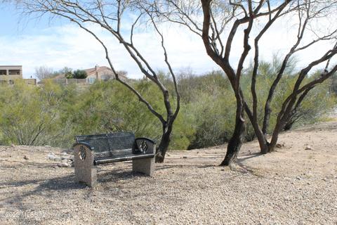 13594 E Aviara Pl, Vail, AZ 85641 photo 42