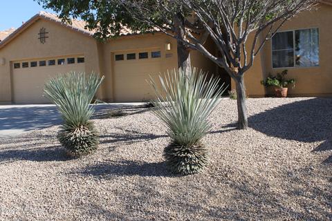 13594 E Aviara Pl, Vail, AZ 85641 photo 35