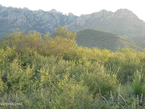 6 S 75 Ac S Acacia Ln, Portal, AZ 85632