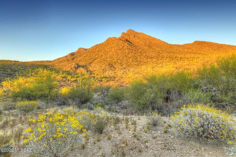 661 E Windward Pl, Tucson, AZ 85704 photo 32