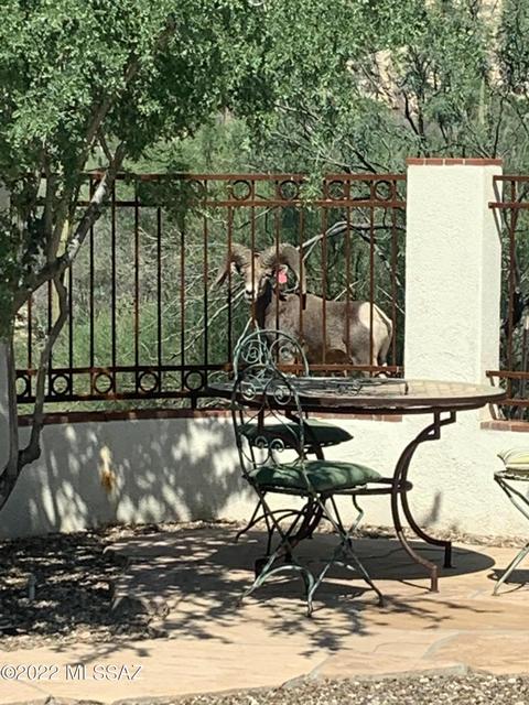 661 E Windward Pl, Tucson, AZ 85704 photo 8