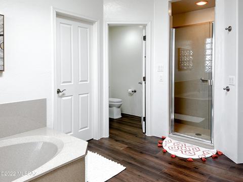 9822 E Forest Grove Loop, Tucson, AZ 85749 photo 39