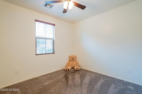 115 E Forrest Feezor St, Vail, AZ 85641 photo 17