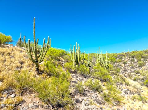 6897 E Snyder Rd #1, Tucson, AZ 85750 photo 5