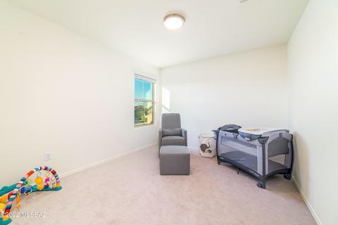 14266 E Yellow Sage Ln, Vail, AZ 85641 photo 29