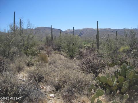 Nn Derio, Marana, AZ 85658