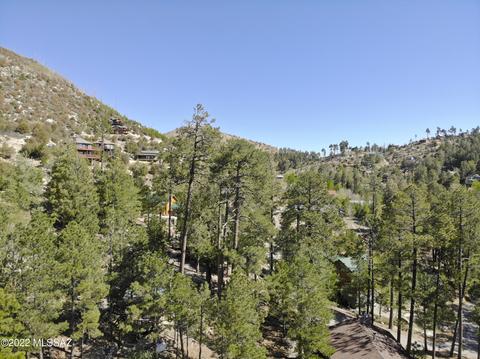 11240 E Globe St, Mount Lemmon, AZ 85619 photo 8