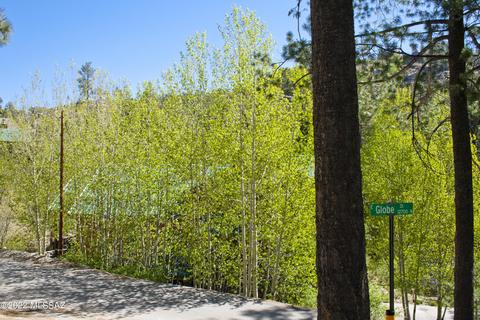11240 E Globe St, Mount Lemmon, AZ 85619 photo 6