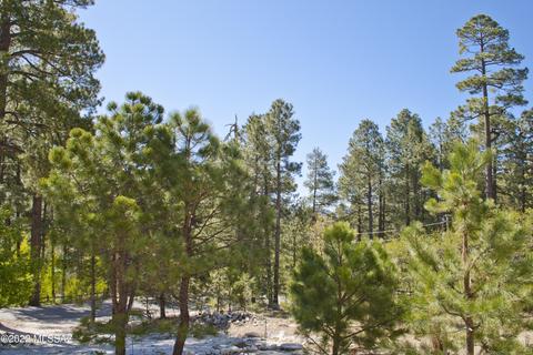 11240 E Globe St, Mount Lemmon, AZ 85619 photo 5