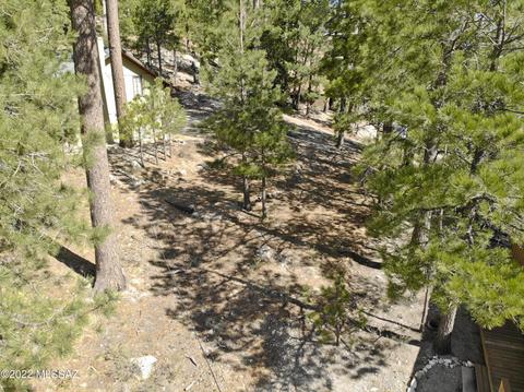 11240 E Globe St, Mount Lemmon, AZ 85619 photo 10