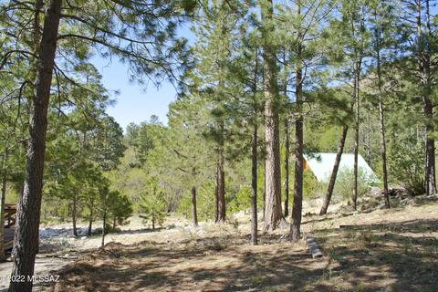 11240 E Globe St, Mount Lemmon, AZ 85619 photo 9