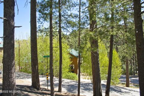 11240 E Globe St, Mount Lemmon, AZ 85619 photo 17