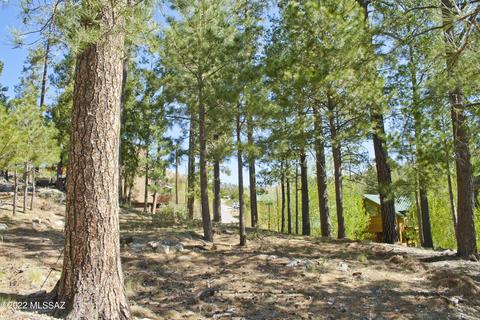 11240 E Globe St, Mount Lemmon, AZ 85619 photo 3