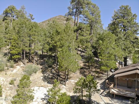 11240 E Globe St, Mount Lemmon, AZ 85619 photo 24