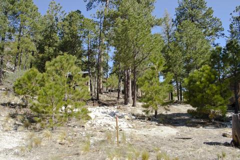 11240 E Globe St, Mount Lemmon, AZ 85619 photo 22