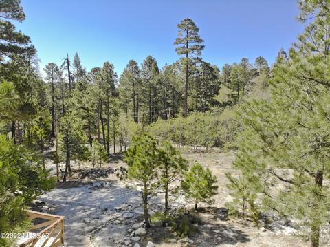 11240 E Globe St, Mount Lemmon, AZ 85619 photo 19