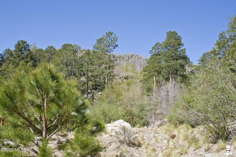 11240 E Globe St, Mount Lemmon, AZ 85619 photo 4