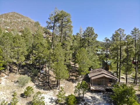 11240 E Globe St, Mount Lemmon, AZ 85619 photo 20