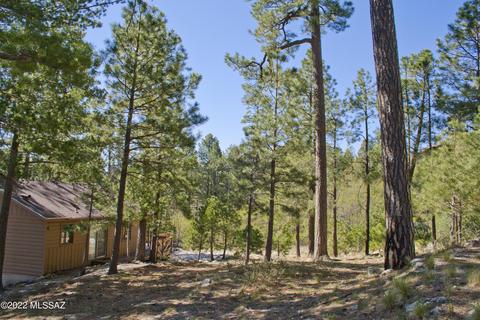 11240 E Globe St, Mount Lemmon, AZ 85619 photo 1