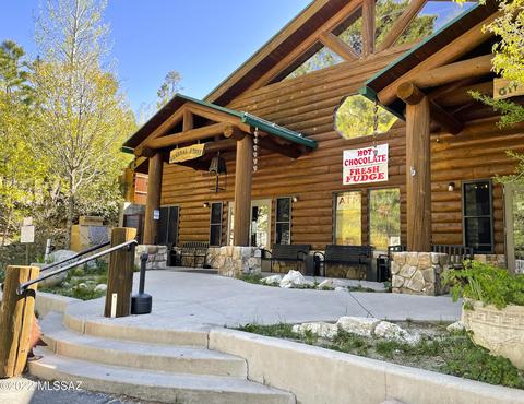 11240 E Globe St, Mount Lemmon, AZ 85619 photo 12