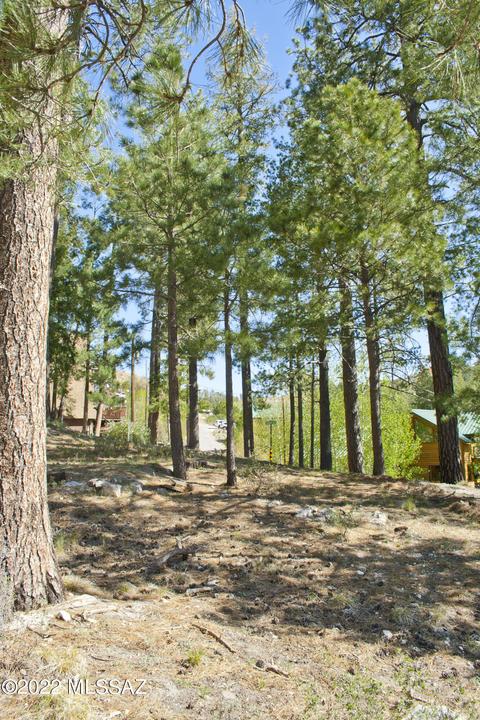11240 E Globe St, Mount Lemmon, AZ 85619 photo 21