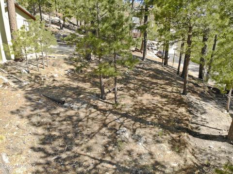 11240 E Globe St, Mount Lemmon, AZ 85619 photo 18