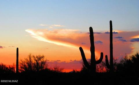 3502 S Goldleaf Loop, Tucson, AZ 85735 photo 26