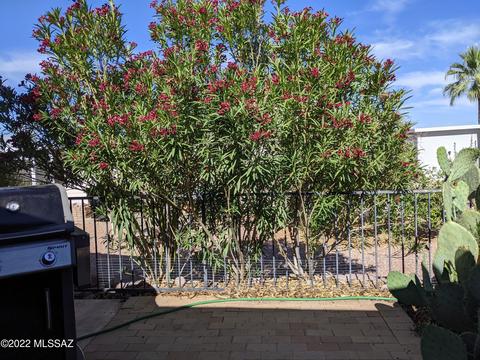 3502 S Goldleaf Loop, Tucson, AZ 85735 photo 14
