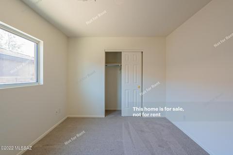 10655 S Silverbluff Dr, Vail, AZ 85641 photo 22