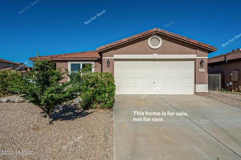 10655 S Silverbluff Dr, Vail, AZ 85641 photo 1
