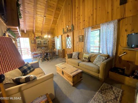 11061 E Turkey Run Rd, Mount Lemmon, AZ 85619 photo 18