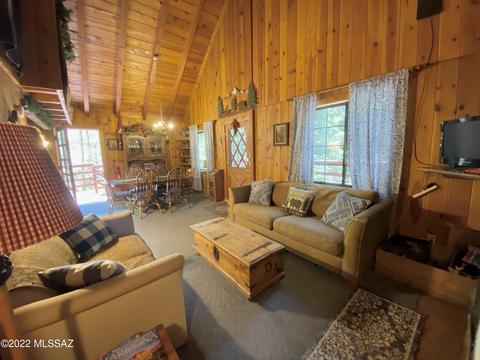 11061 E Turkey Run Rd, Mount Lemmon, AZ 85619 photo 19