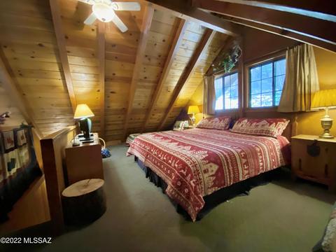 11061 E Turkey Run Rd, Mount Lemmon, AZ 85619 photo 26