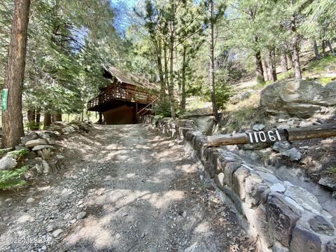 11061 E Turkey Run Rd, Mount Lemmon, AZ 85619 photo 2