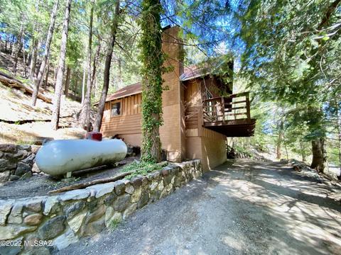 11061 E Turkey Run Rd, Mount Lemmon, AZ 85619 photo 7