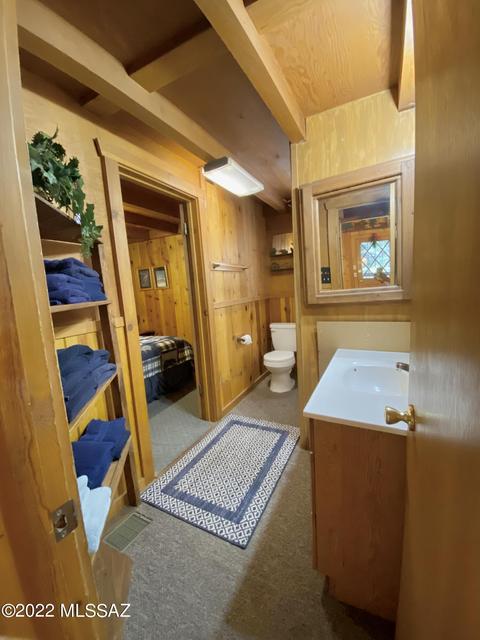11061 E Turkey Run Rd, Mount Lemmon, AZ 85619 photo 21
