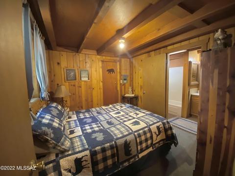 11061 E Turkey Run Rd, Mount Lemmon, AZ 85619 photo 23