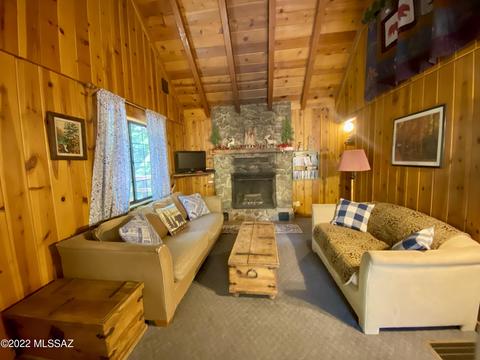 11061 E Turkey Run Rd, Mount Lemmon, AZ 85619 photo 16