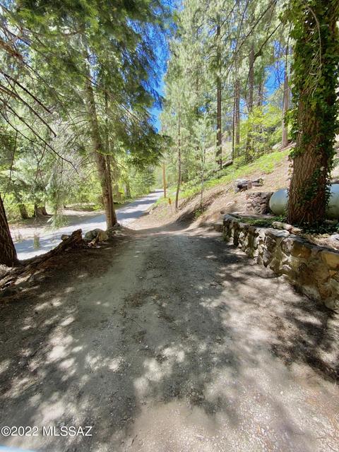 11061 E Turkey Run Rd, Mount Lemmon, AZ 85619 photo 8