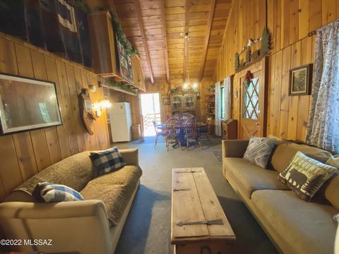 11061 E Turkey Run Rd, Mount Lemmon, AZ 85619 photo 17