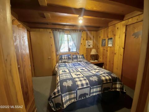 11061 E Turkey Run Rd, Mount Lemmon, AZ 85619 photo 22