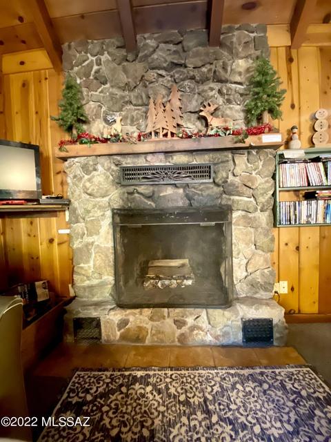 11061 E Turkey Run Rd, Mount Lemmon, AZ 85619 photo 20