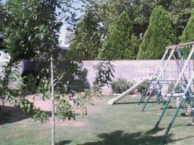 7149 E 28th St, Tucson, AZ 85710 photo 4